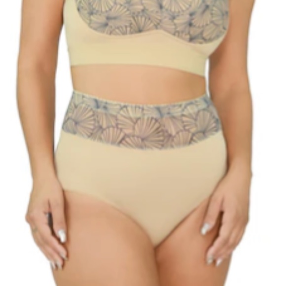 5 Pair Bundle - Rhonda Shear Mesh Insert High Waist Briefs - Picture 4 of 8